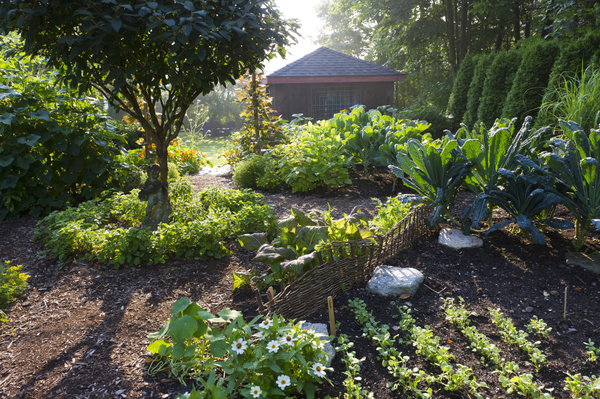 6 consejos esenciales para preparar el jardín para la primavera