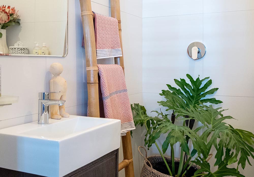 Las 9 mejores plantas para decorar cuartos de baño sin luz natural